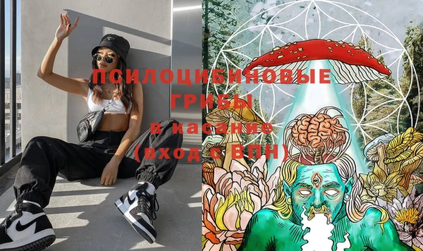 кокс Медвежьегорск