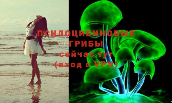 СК Мегион