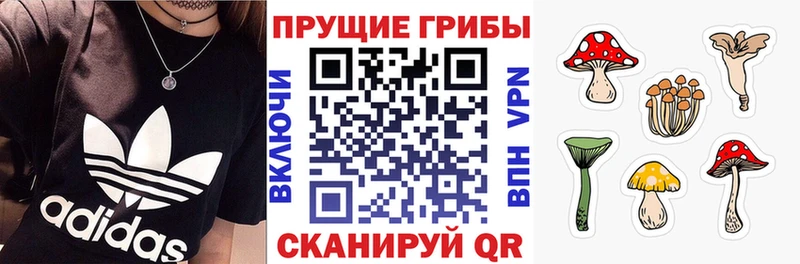 OMG зеркало  Темников  Псилоцибиновые грибы мицелий 